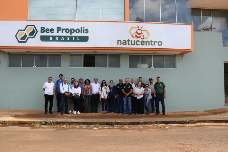 Imagem da notícia Como a ciência transformou a própolis-verde da Canastra em tesouro internacional