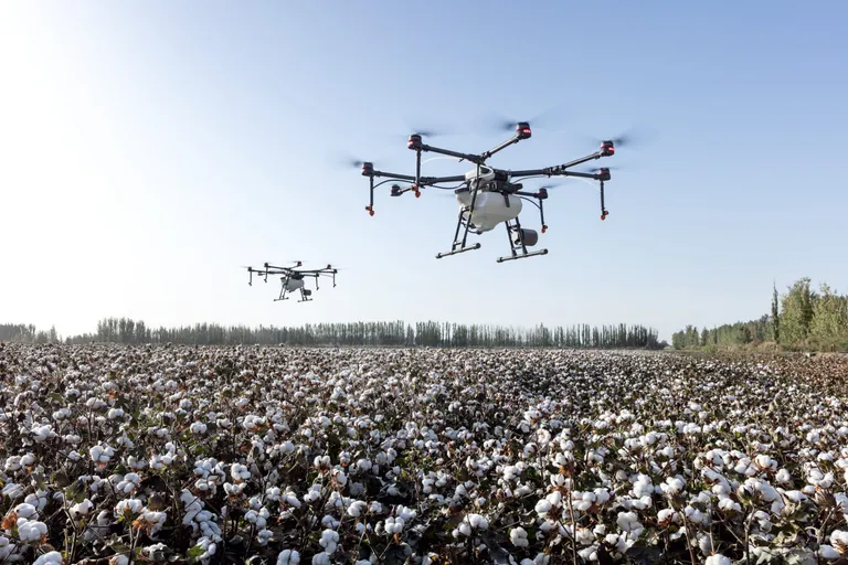 Imagem da notícia FAPEMIG divulga resultado preliminar da Chamada Agricultura do Futuro 5.0