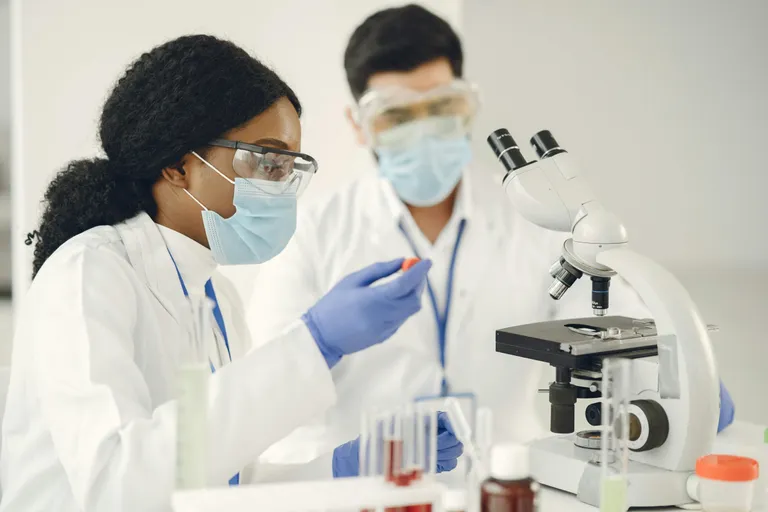 Imagem da notícia Chamada Universal 2026 registra recorde de submissões 