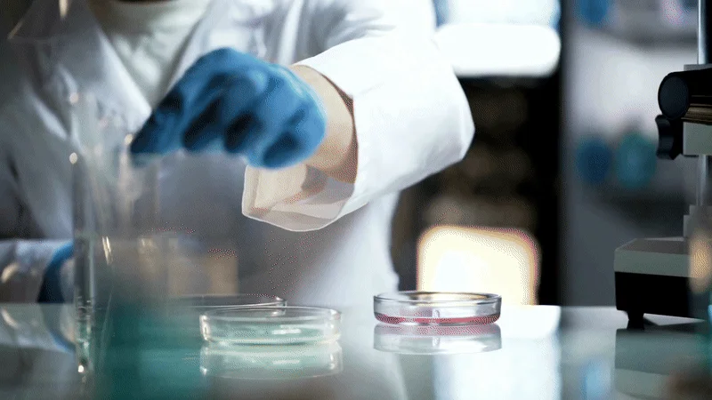 Prorrogado prazo de submissão para a Demanda Universal 