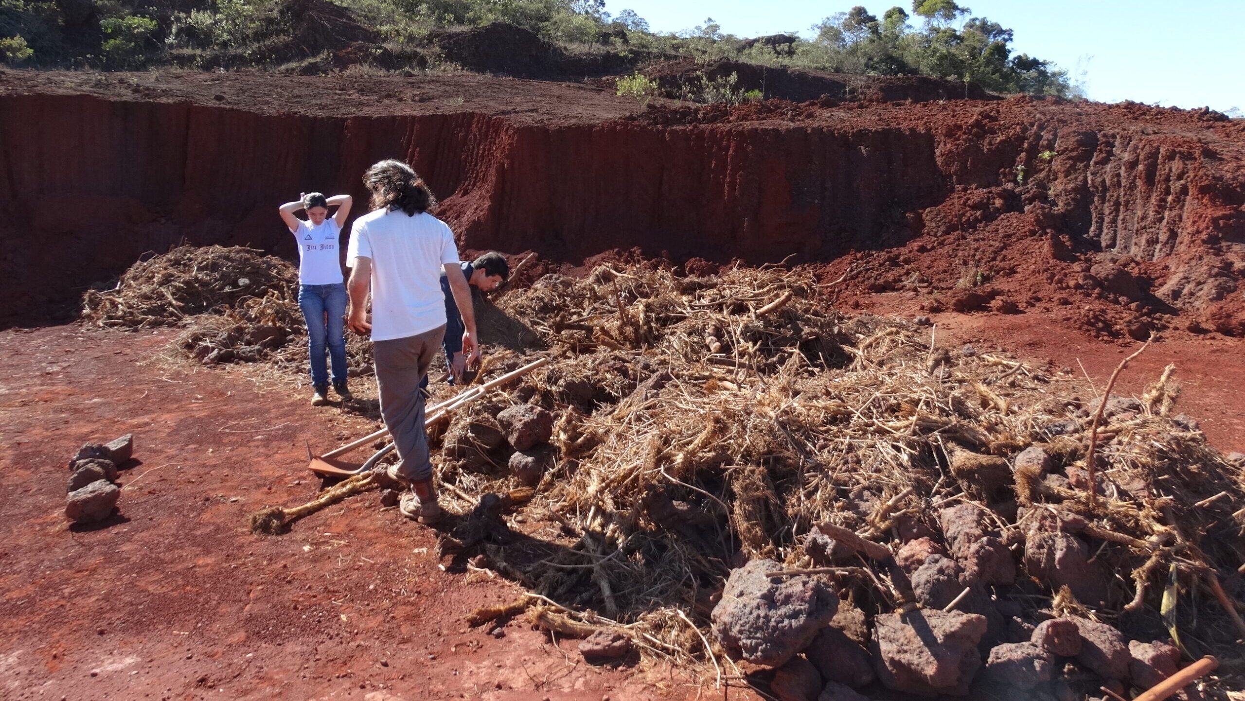Imagem de Programa de Pesquisa Ecológica de Longa Duração (Peld)